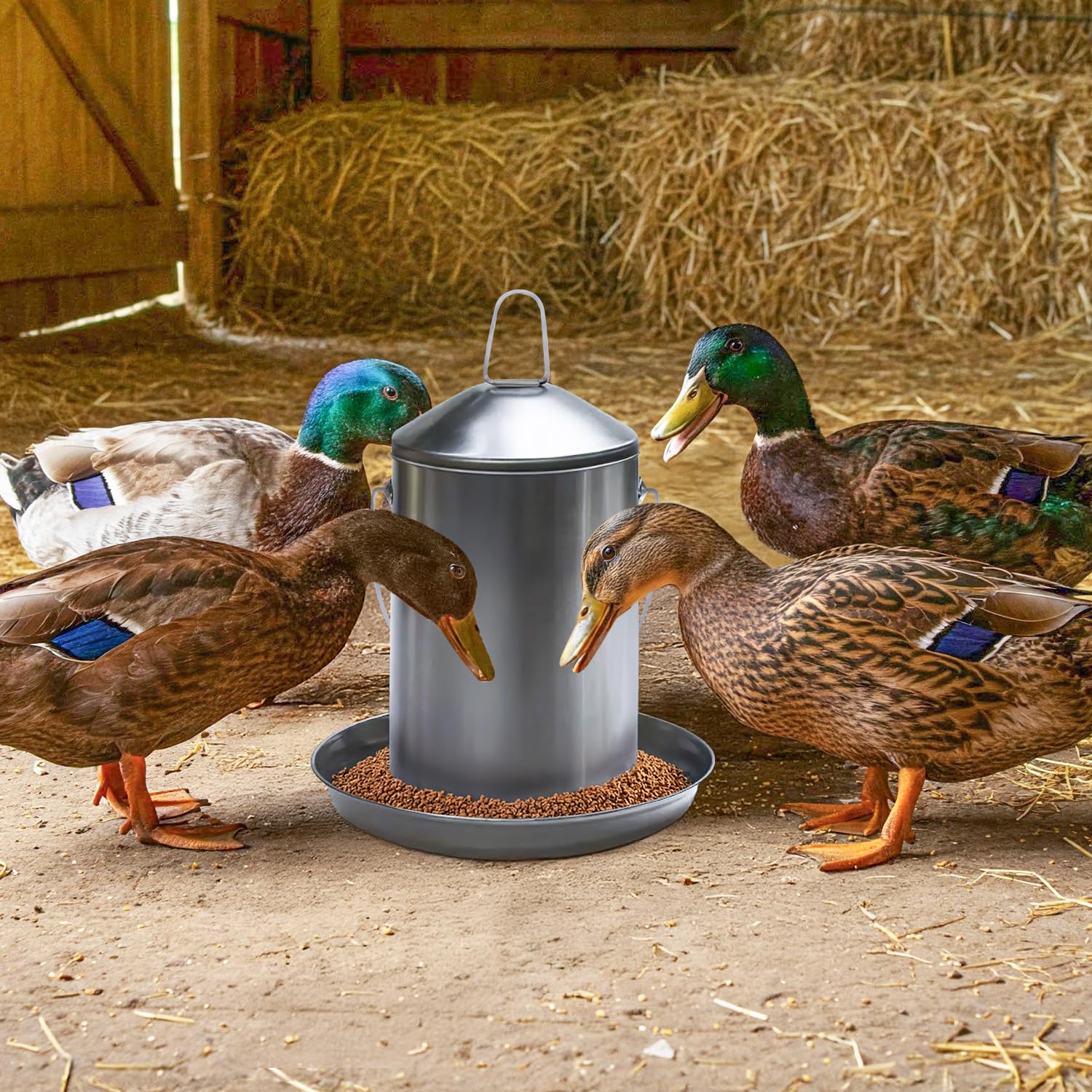 0.8 Gallon Stainless Steel Automatic Poultry Drinker