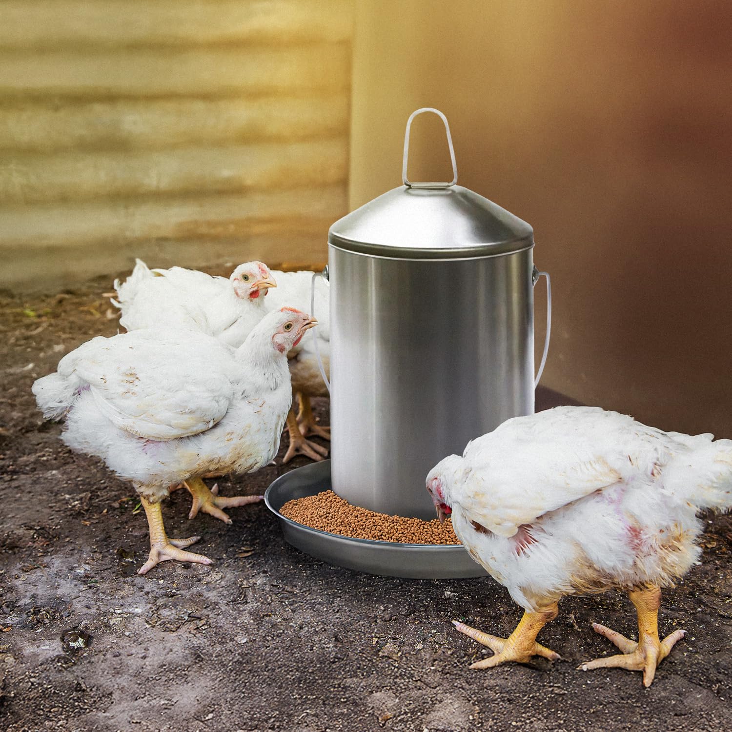 0.8 Gallon Stainless Steel Automatic Poultry Drinker