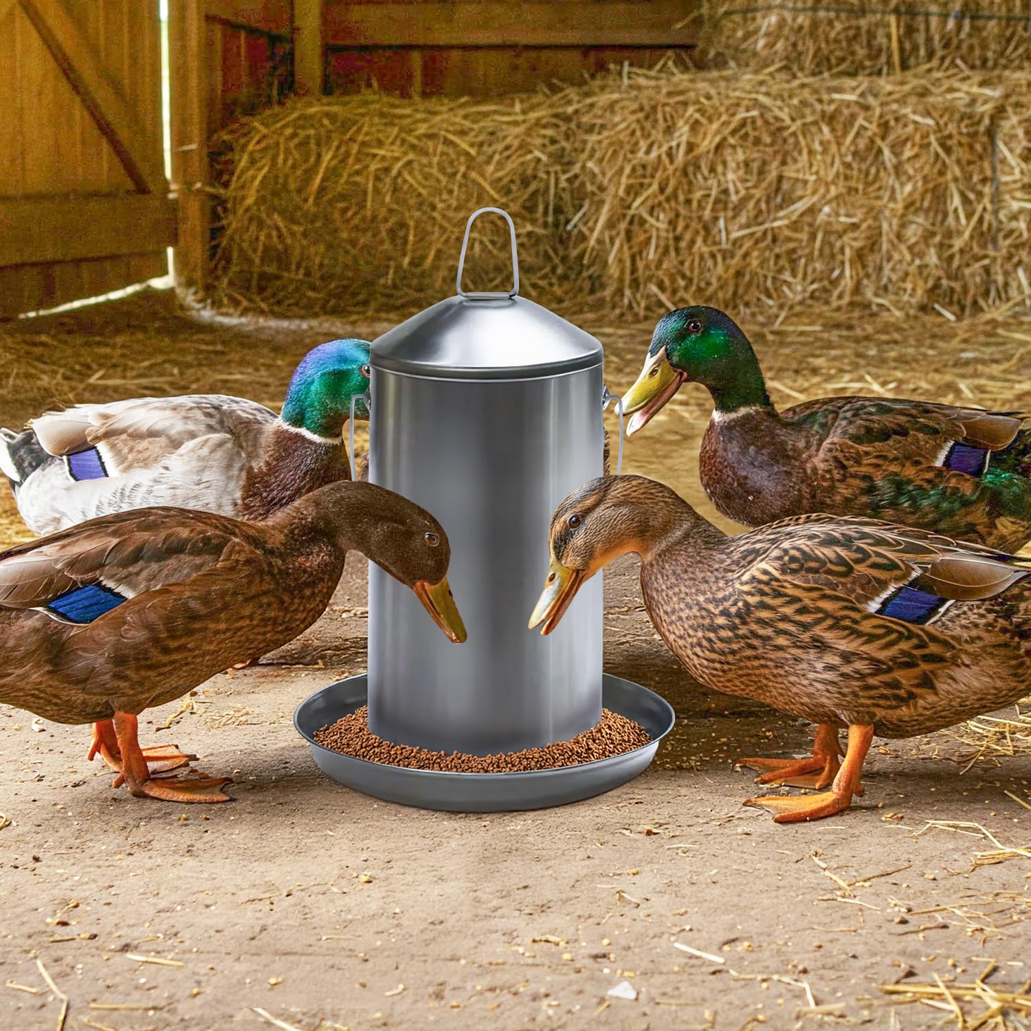 1 Gallon Stainless Steel Automatic Poultry Drinker