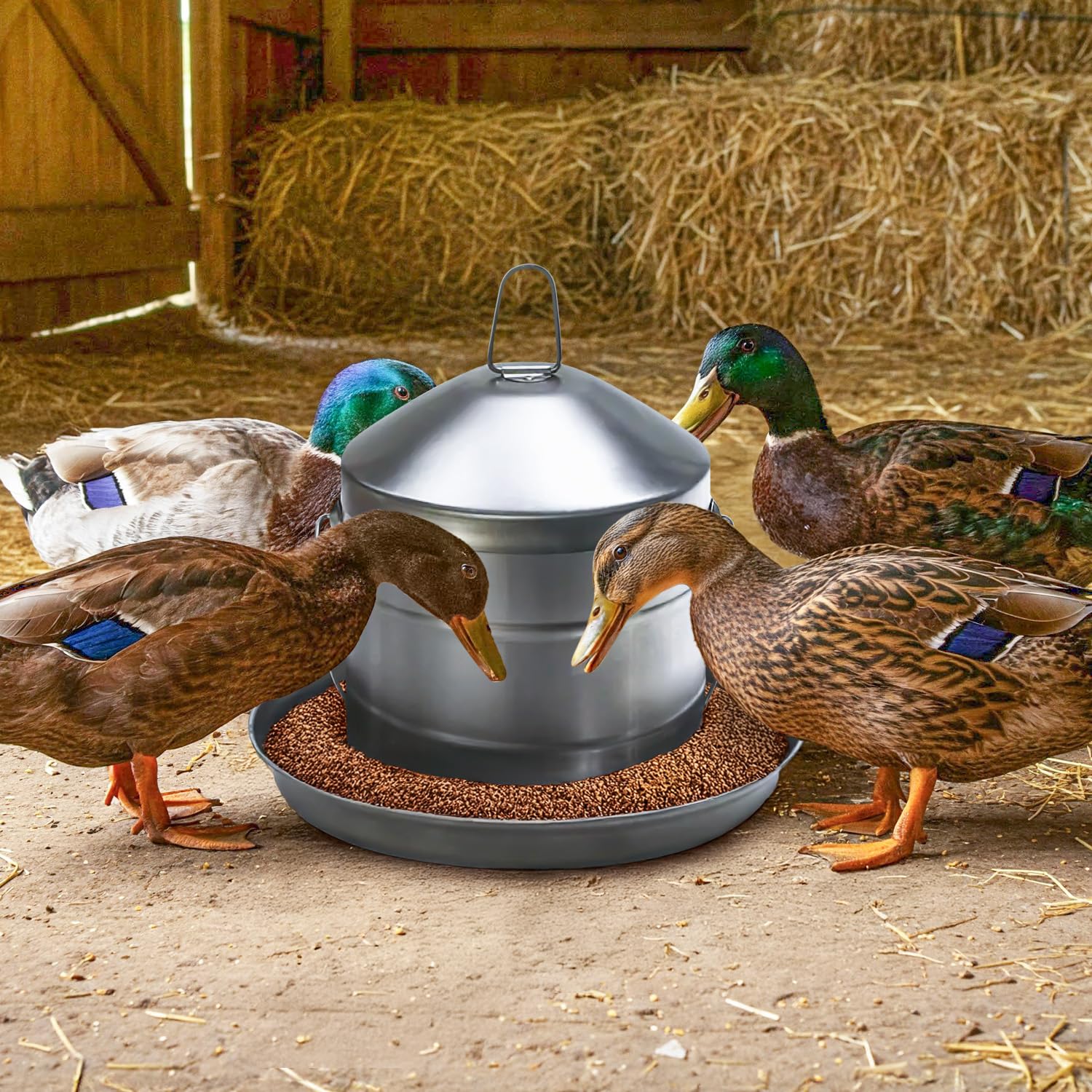 2 Gallon Stainless Steel Automatic Poultry Drinker