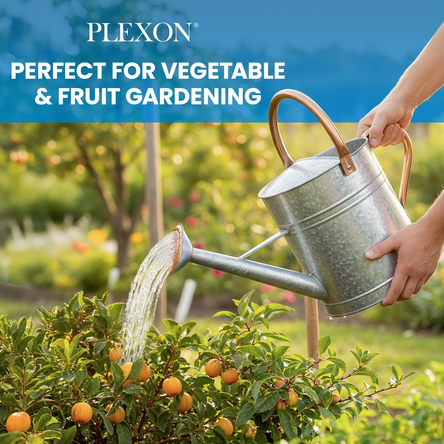 Plexon Large Metal Watering Can Outdoor 2 Gallon, Plant Flower Gardening Garden Watering Can Pot, Bronze Galvanized Steel Handles and Removable Spray Spout, Silver