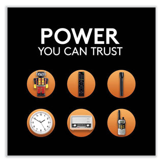 CopperTop Alkaline C Batteries, 4/Pack - 