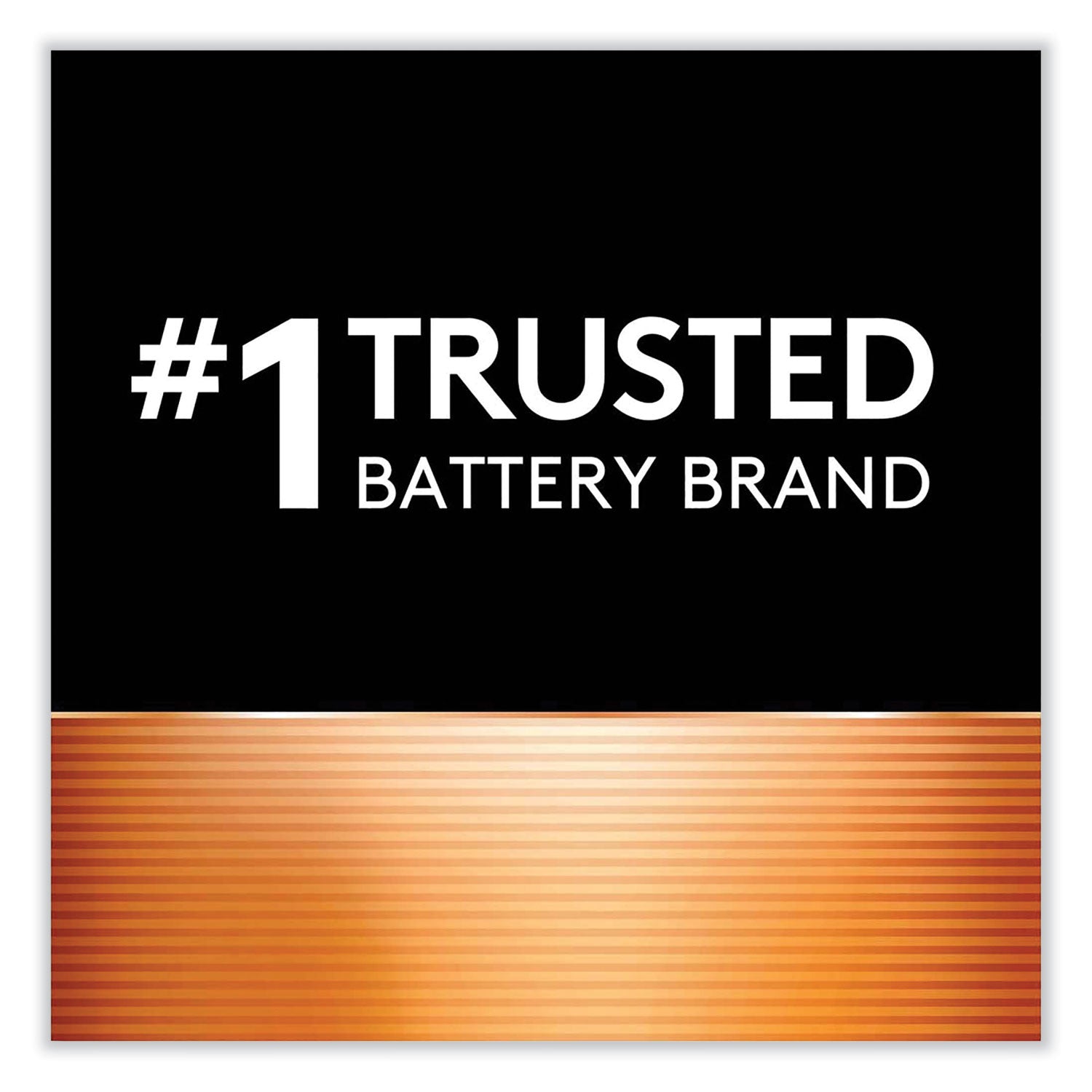 CopperTop Alkaline D Batteries, 8/Pack - 4