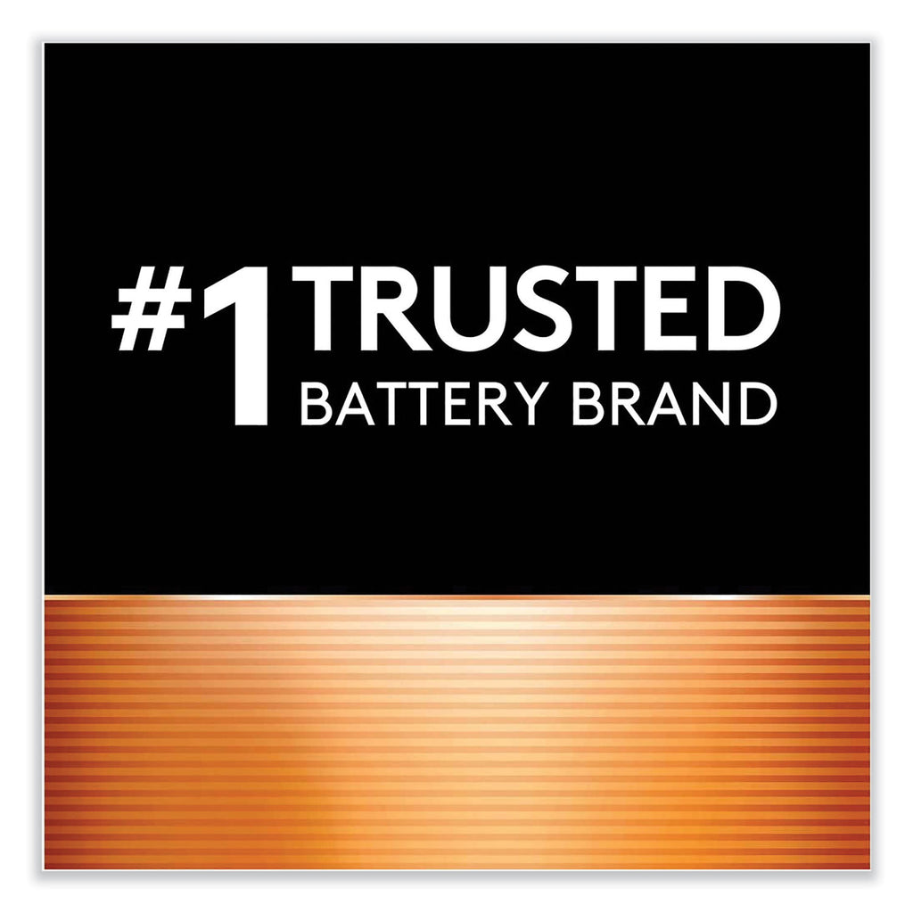 Rechargeable StayCharged NiMH Batteries, AAA, 2/Pack - 