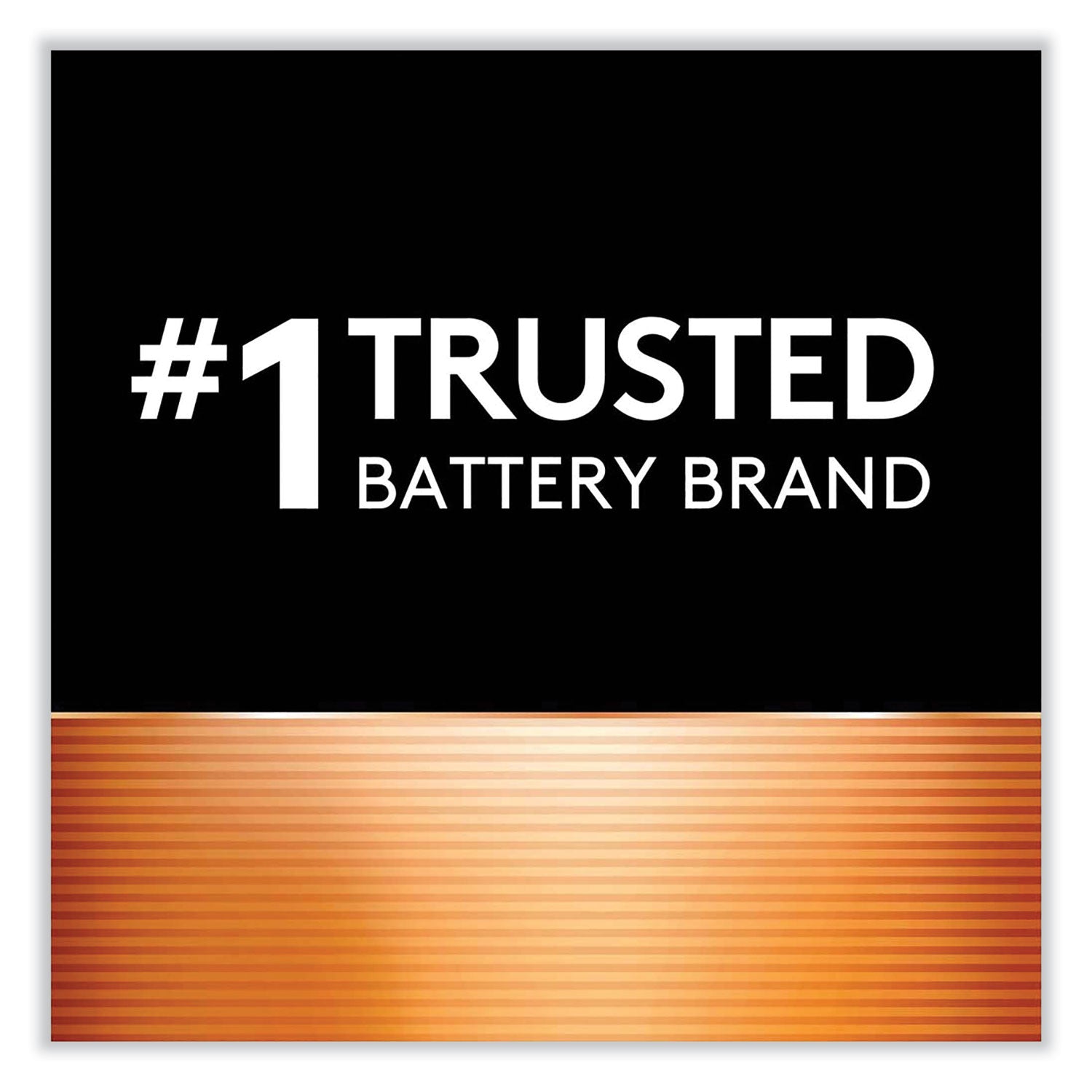 CopperTop Alkaline C Batteries, 12/Box - 4