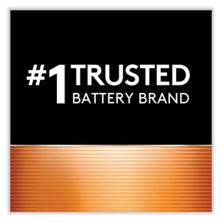 CopperTop Alkaline C Batteries, 12/Box - 4