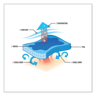chill-its-6705ct-cooling-pva-hook-and-loop-bandana-headband-one-size-fits-most-skulls-ships-in-1-3-business-days_ego12579 - 2
