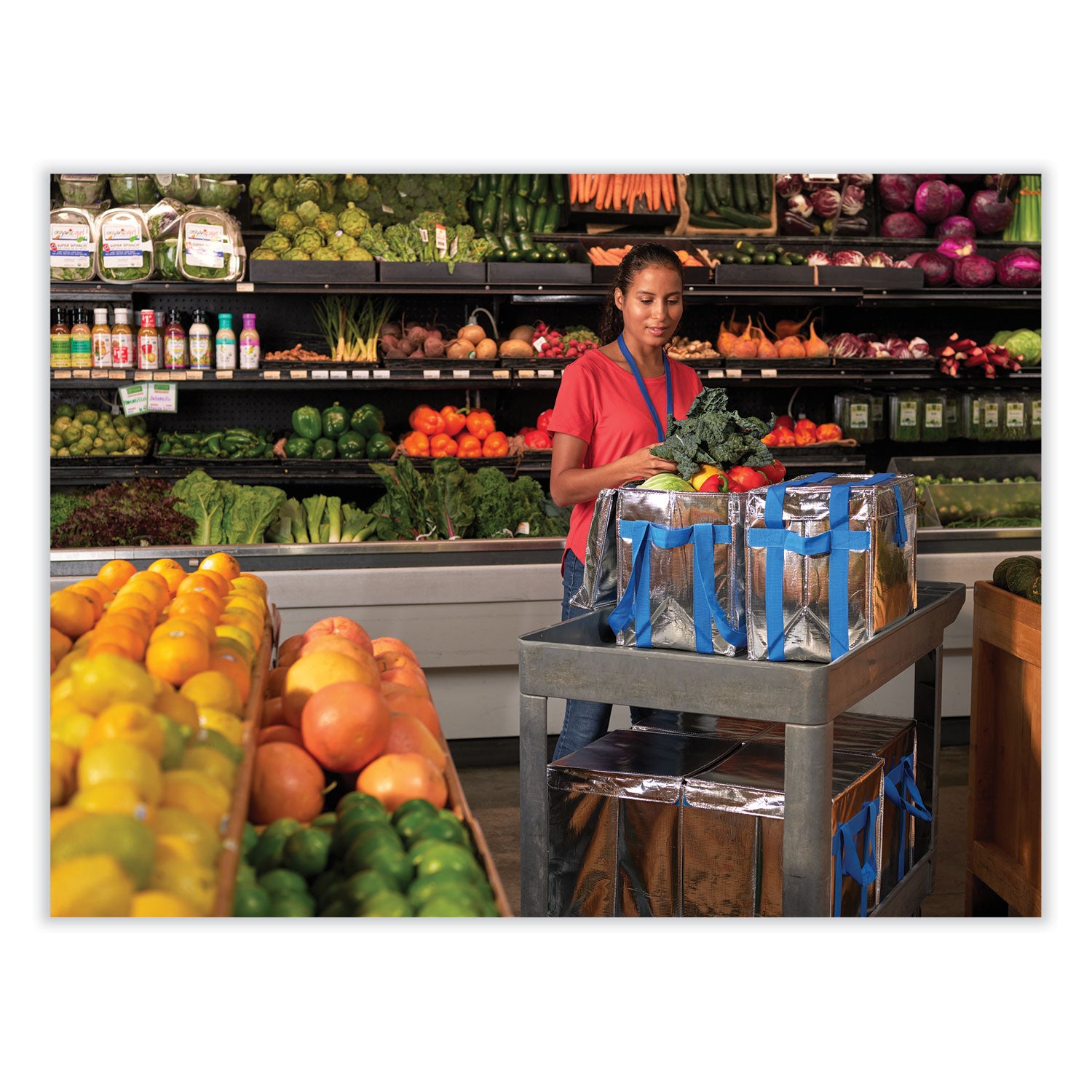 Fresh Eco Freeze Tote, 13.5 x 9 x 13, Silver/Blue, 4/Carton