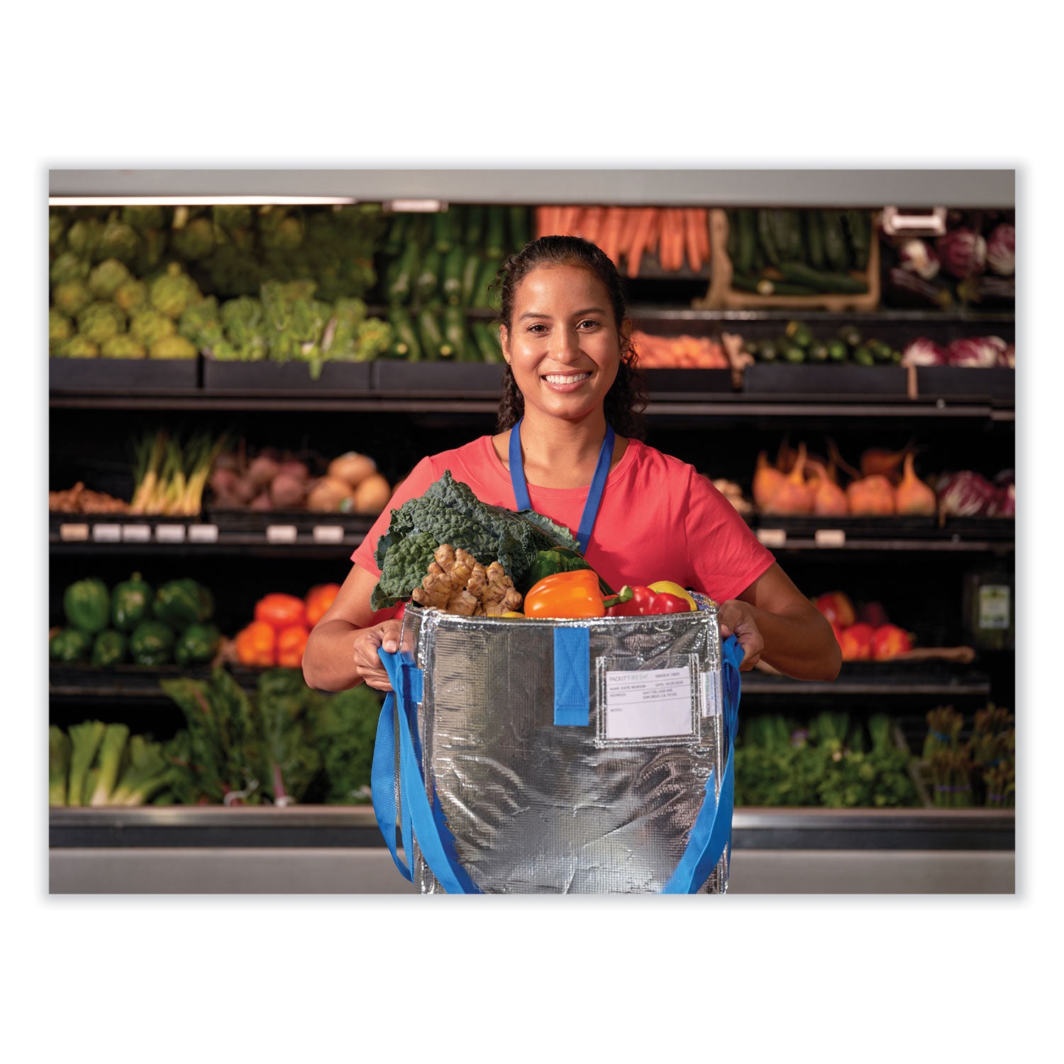 Fresh Eco Freeze Tote, 13.5 x 9 x 13, Silver/Blue, 4/Carton