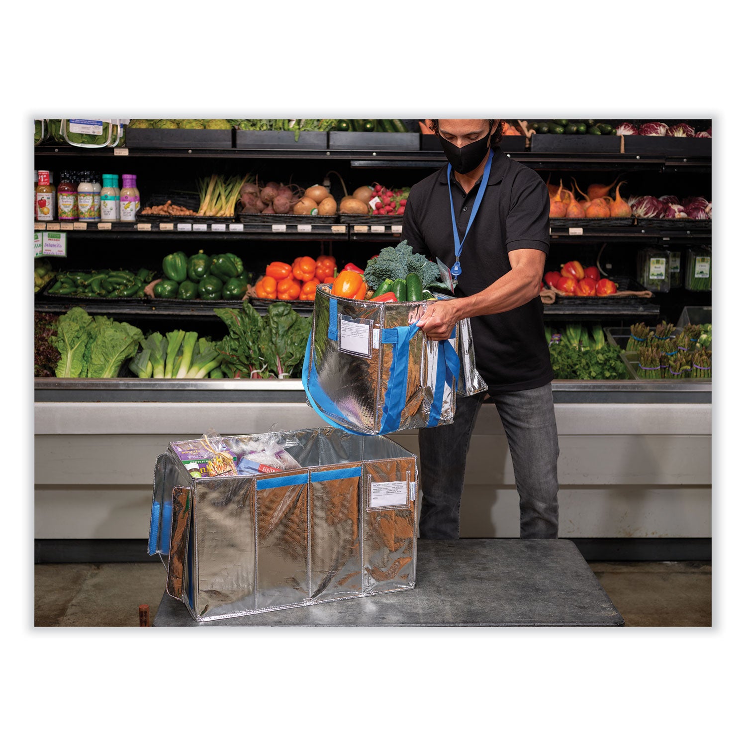 Fresh Eco Freeze Tote, 13.5 x 9 x 13, Silver/Blue, 4/Carton