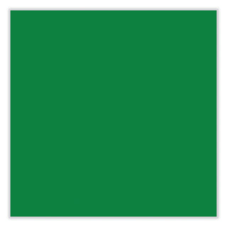 Permanent Paint Marker, Fine Bullet Tip, Green - 