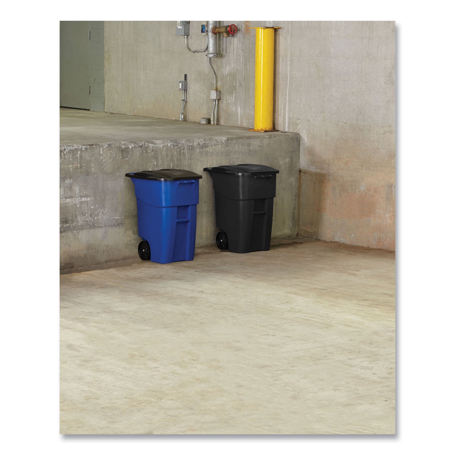 Square Brute Rollout Container, 50 gal, Molded Plastic, Blue