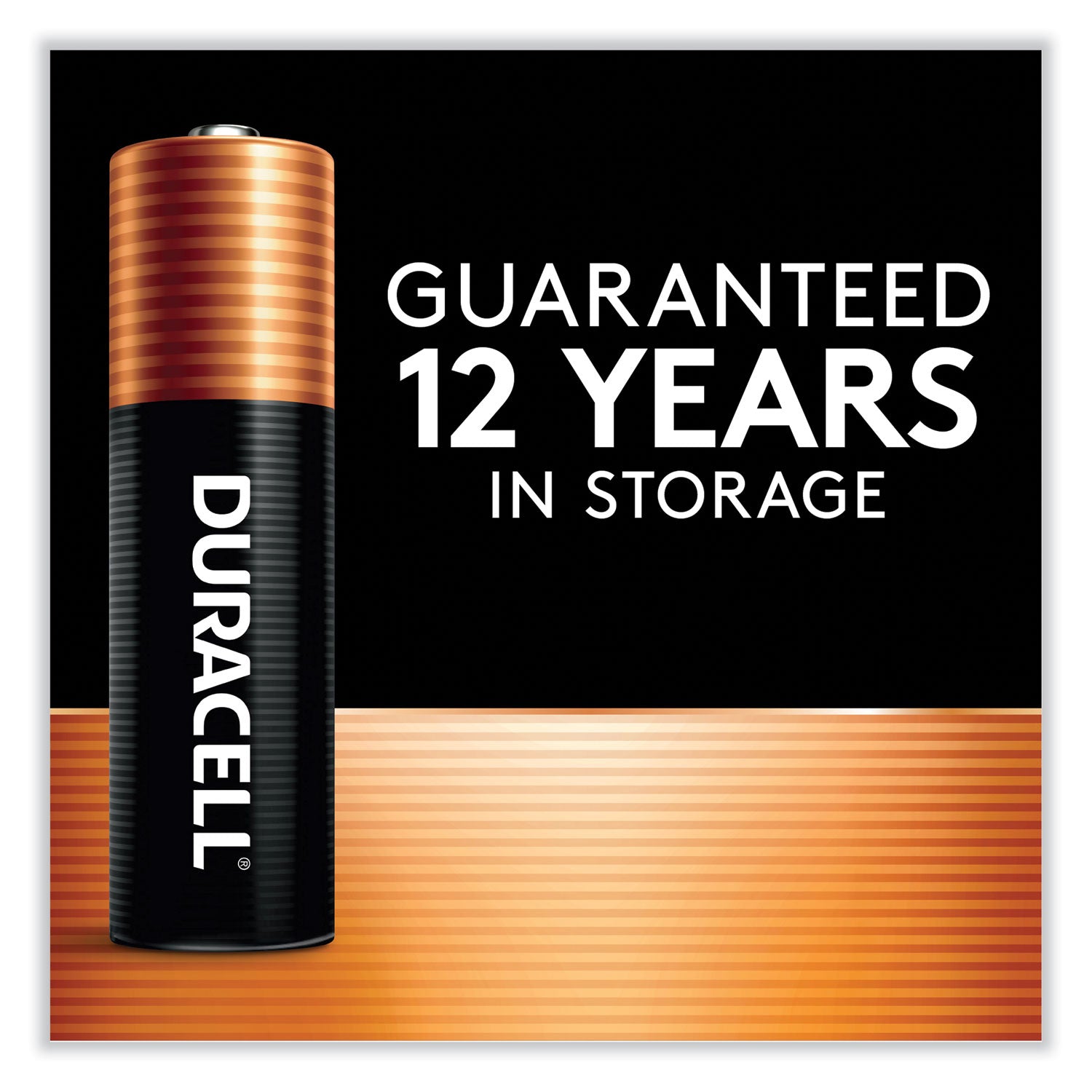 Power Boost CopperTop Alkaline AA Batteries, 12/Pack - 3