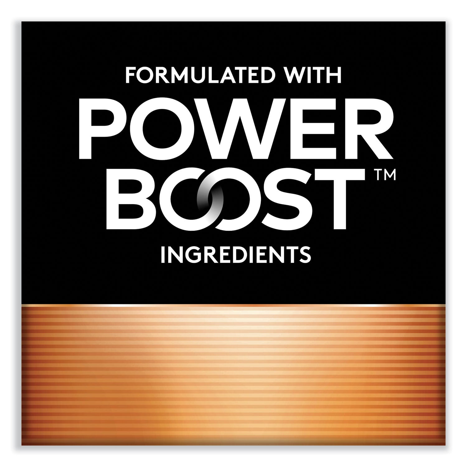 Power Boost CopperTop Alkaline AAA Batteries, 20/Pack - 2