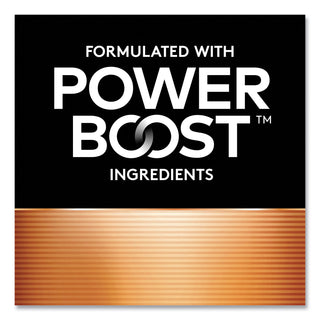 Power Boost CopperTop Alkaline AA Batteries, 144/Carton - 2