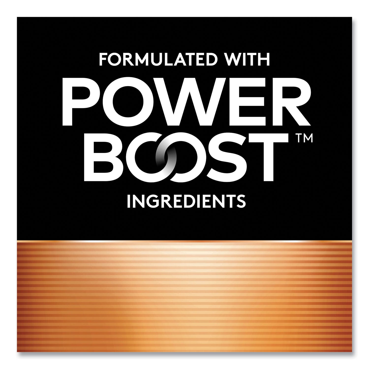 Power Boost CopperTop Alkaline AA Batteries, 144/Carton - 2