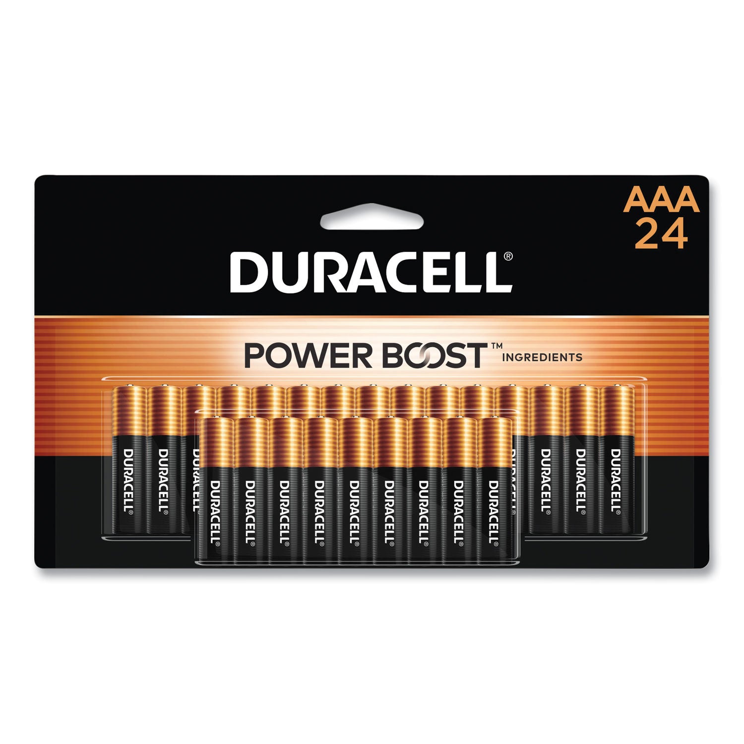 Power Boost CopperTop Alkaline AAA Batteries, 24/Pack - 1