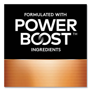 Power Boost CopperTop Alkaline AA Batteries, 24/Box - 2