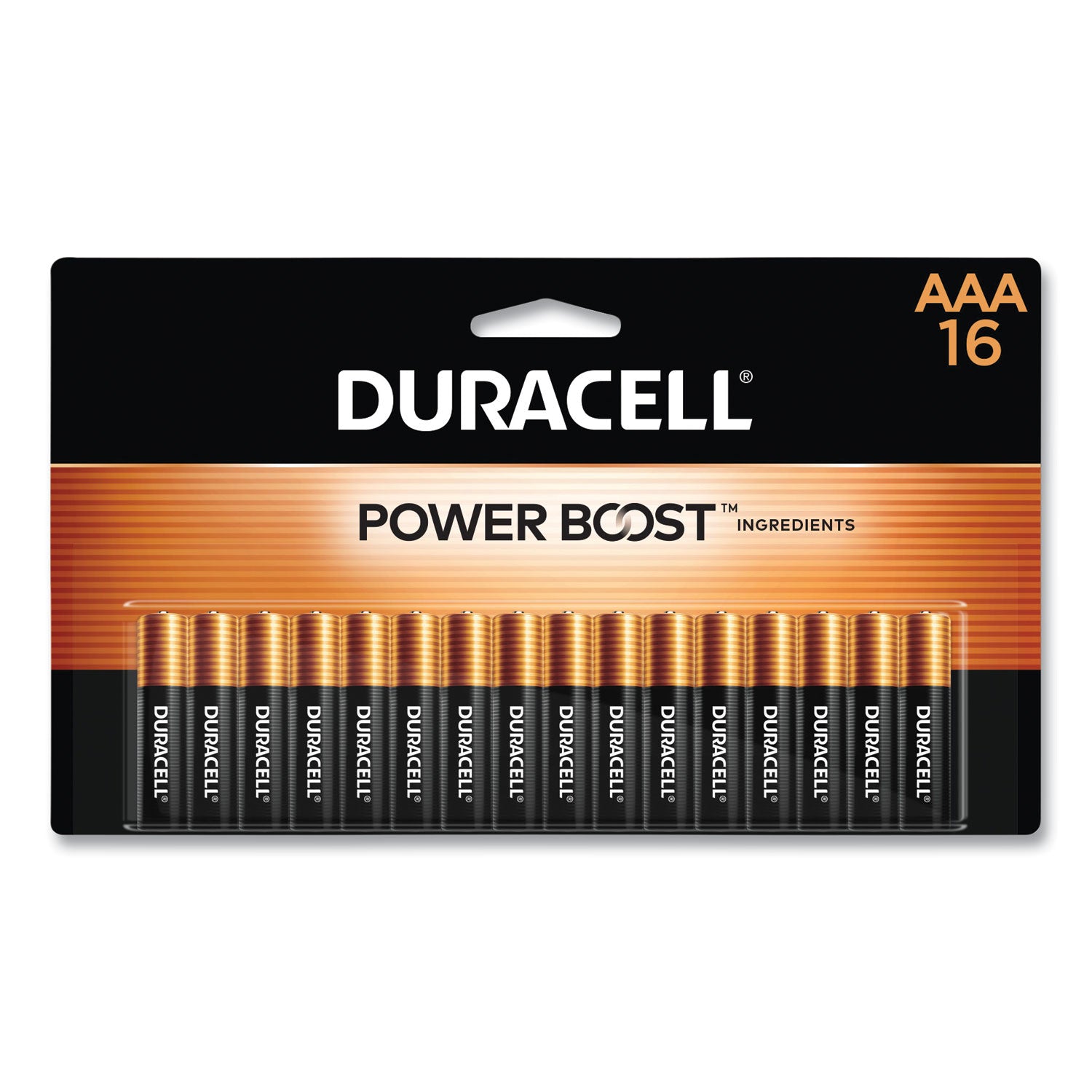 Power Boost CopperTop Alkaline AAA Batteries, 16/Pack - 1
