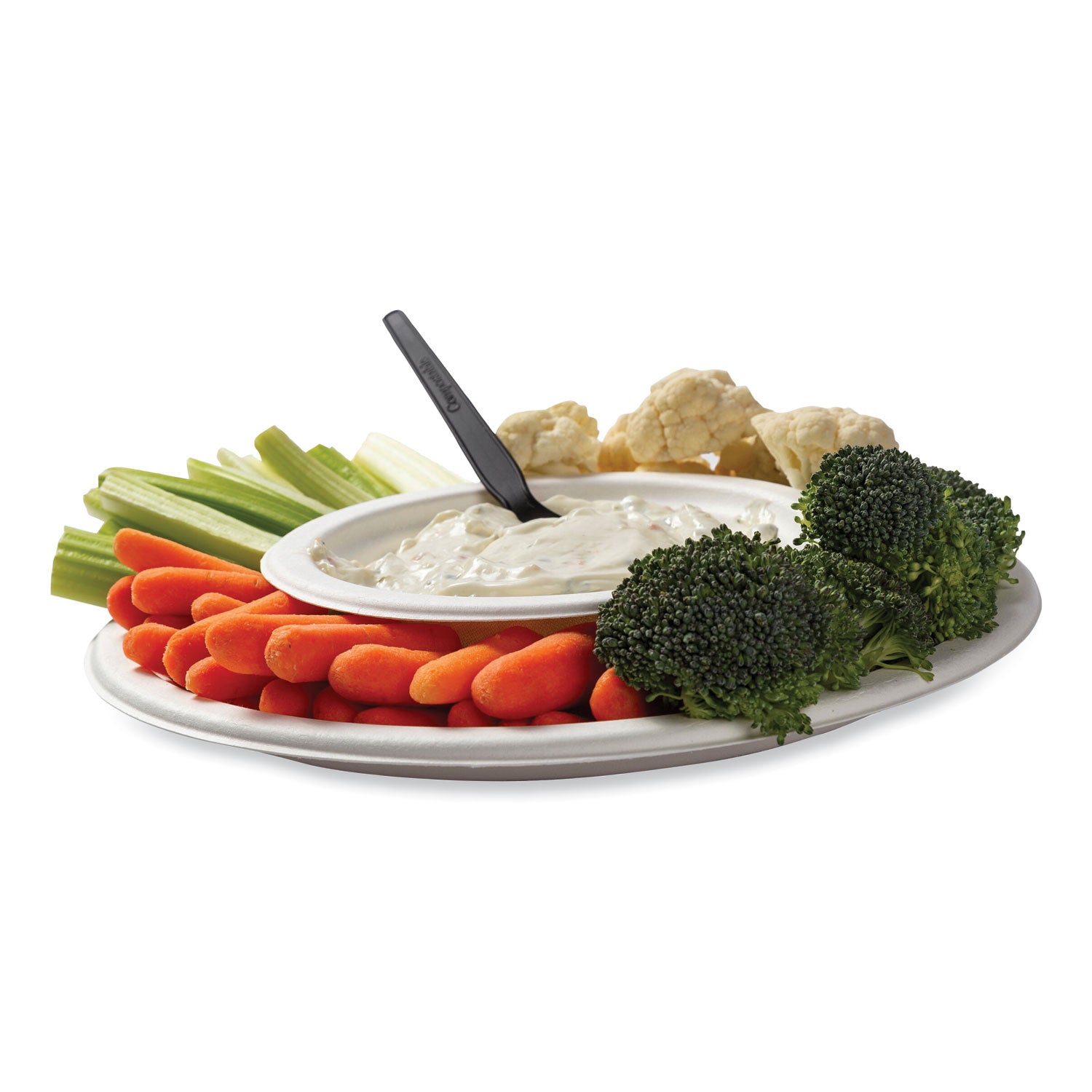 bagasse-pfas-free-dinnerware-plate-1027-dia-white-500-carton_rpppl10npfa - 3