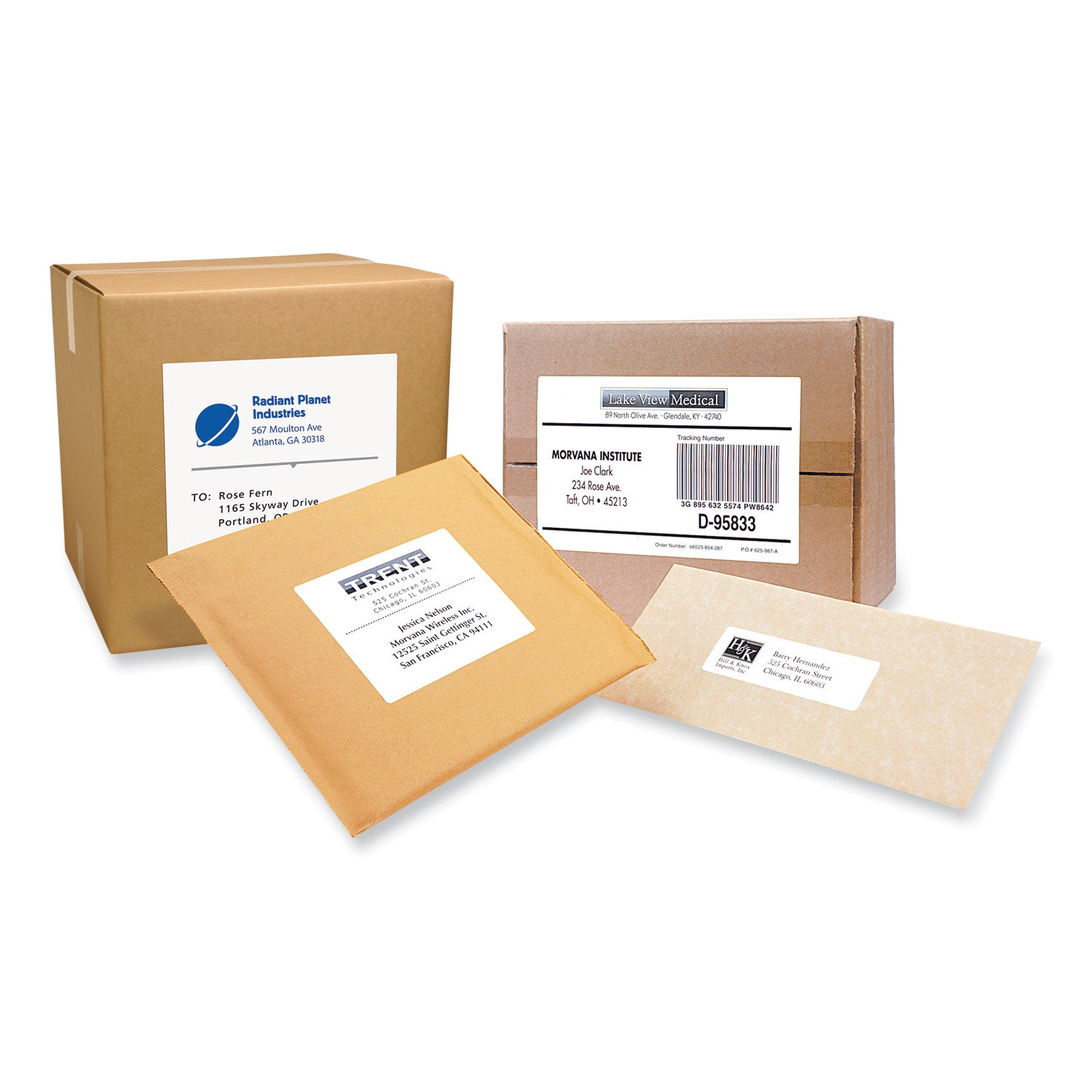 Labels, Laser Printers, 3.33 x 4, White, 6/Sheet, 100 Sheets/Box