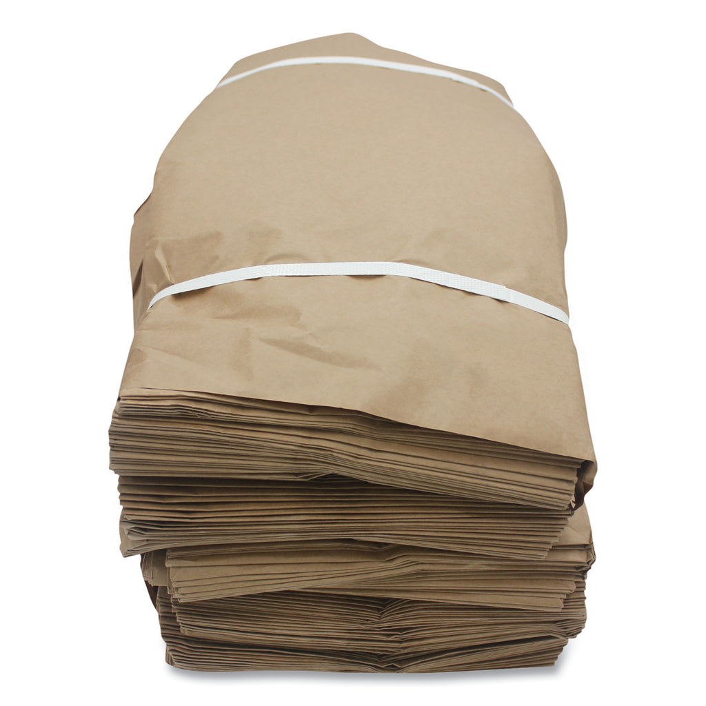 Kraft Paper Bags, 10" x 6" x 13", Kraft, 250/Carton - 2