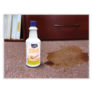 Food/Beverage/Protein Stain Remover, 32 oz Pour Bottle