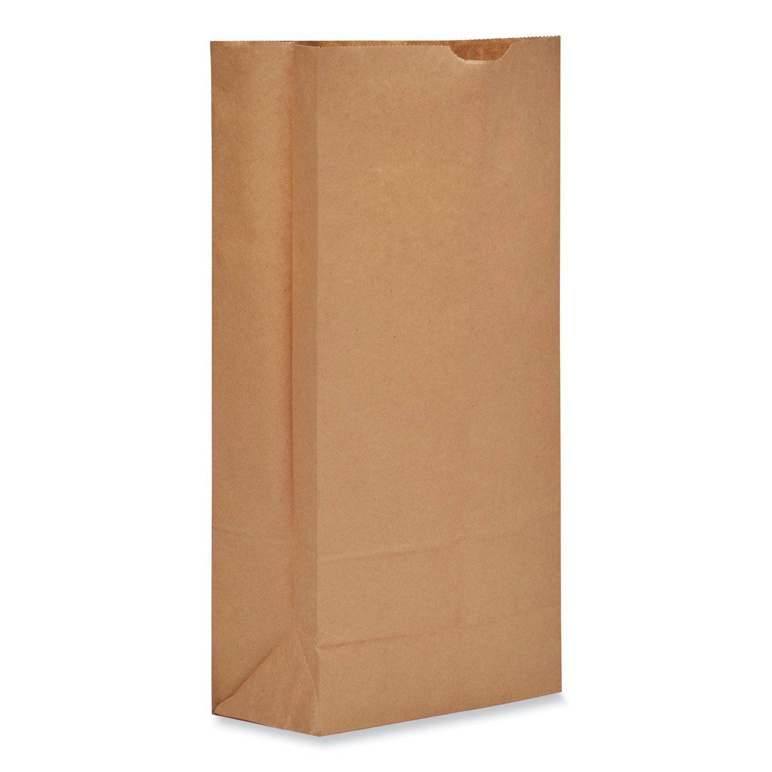grocery-paper-bags-50-lb-capacity-#25-825-x-594-x-1613-kraft-500-bags_baggh25 - 1