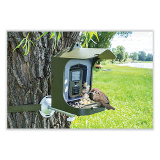 full-hd-birdcam-tx-165-8-mpixels-black-green_tax4923 - 2
