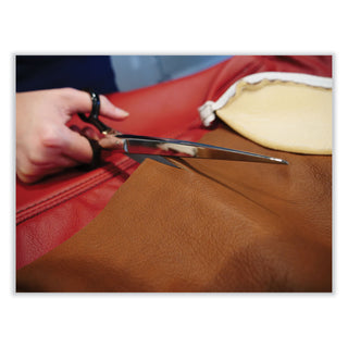 Hot Forged Carbon Steel Shears, 9" Long, 4.5" Cut Length, Black Straight Handle - 