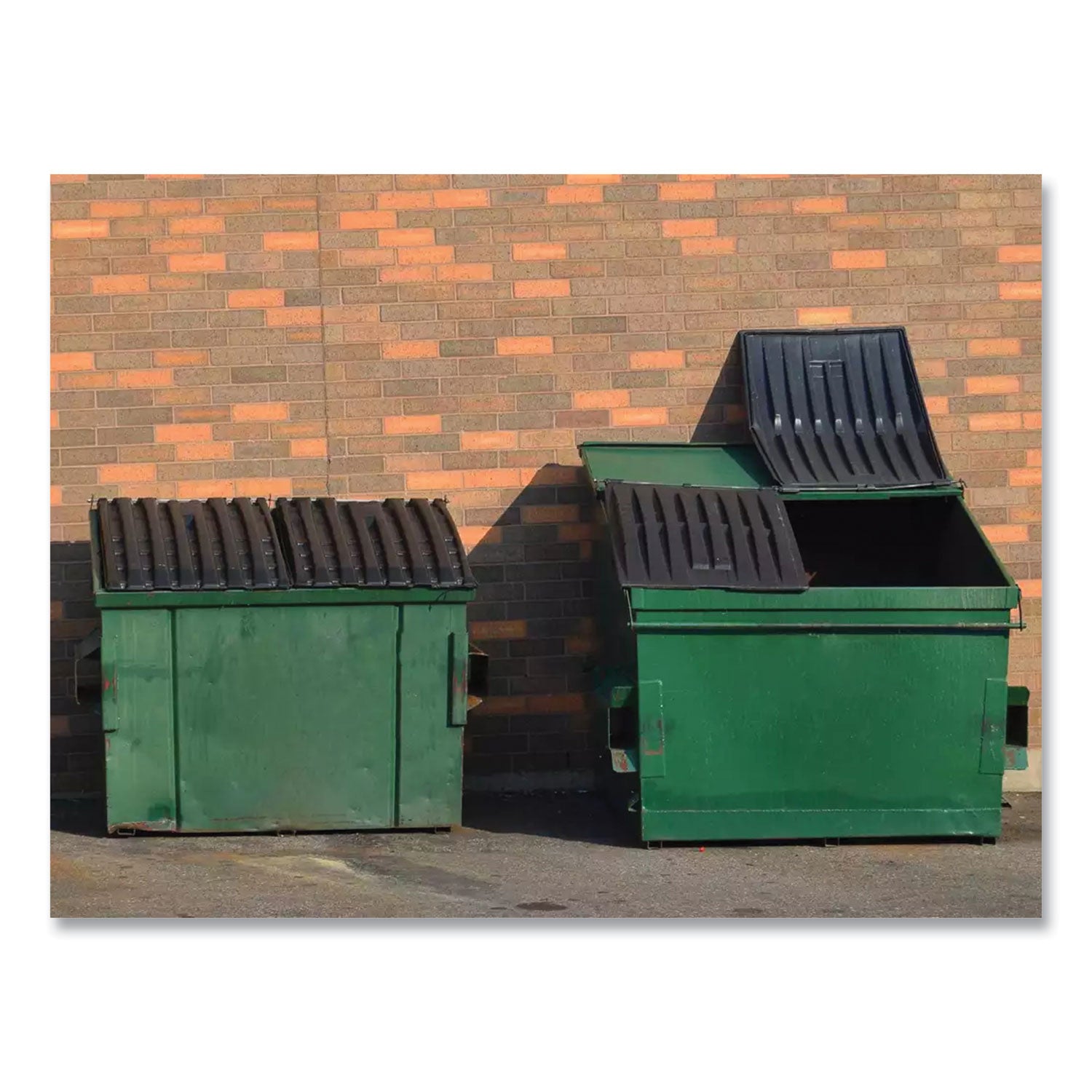 Dumpster Treatment, Mango Scent, 1 gal Bottle, 4/Carton