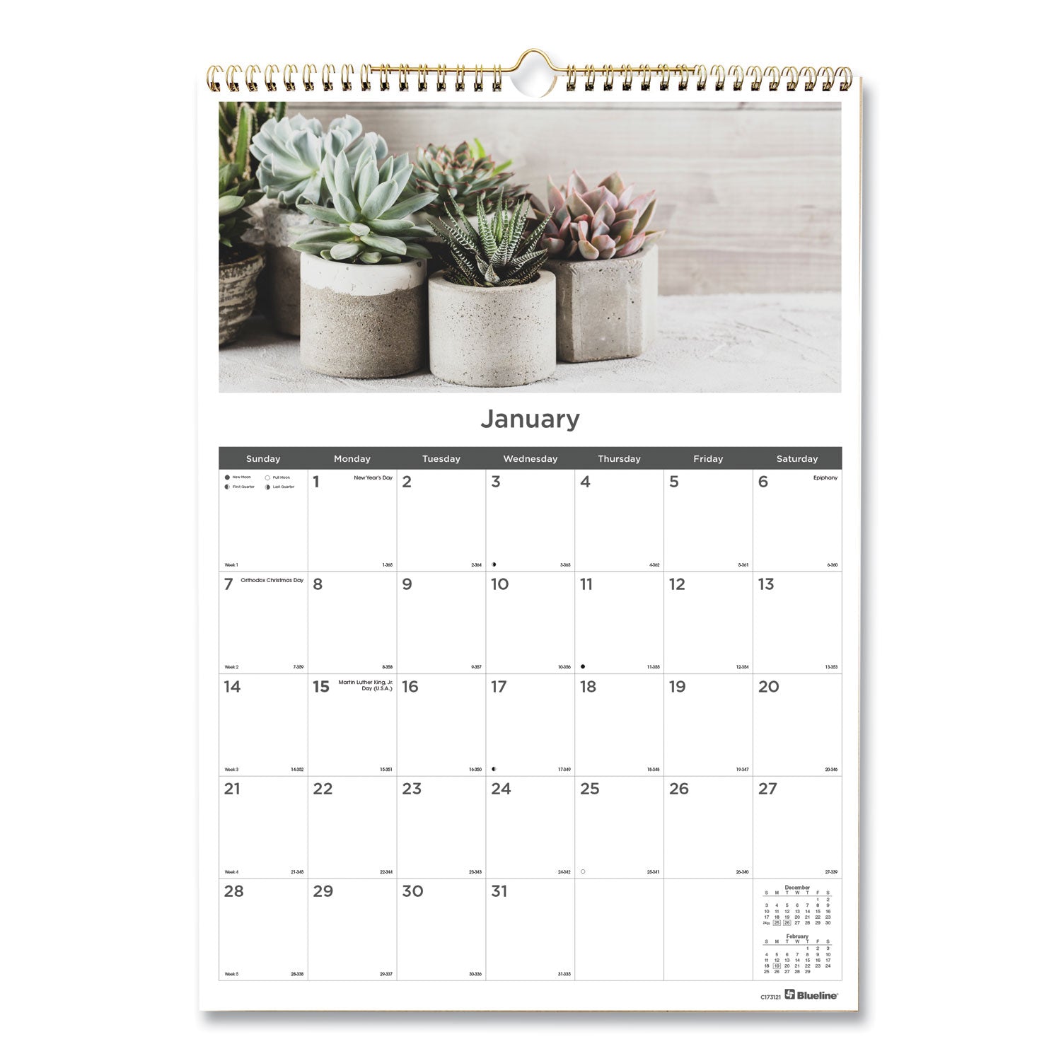 12-Month Wall Calendar, Succulent Plants Photography, 12 x 17, White/Multicolor Sheets, 12-Month (Jan to Dec): 2024 - 1
