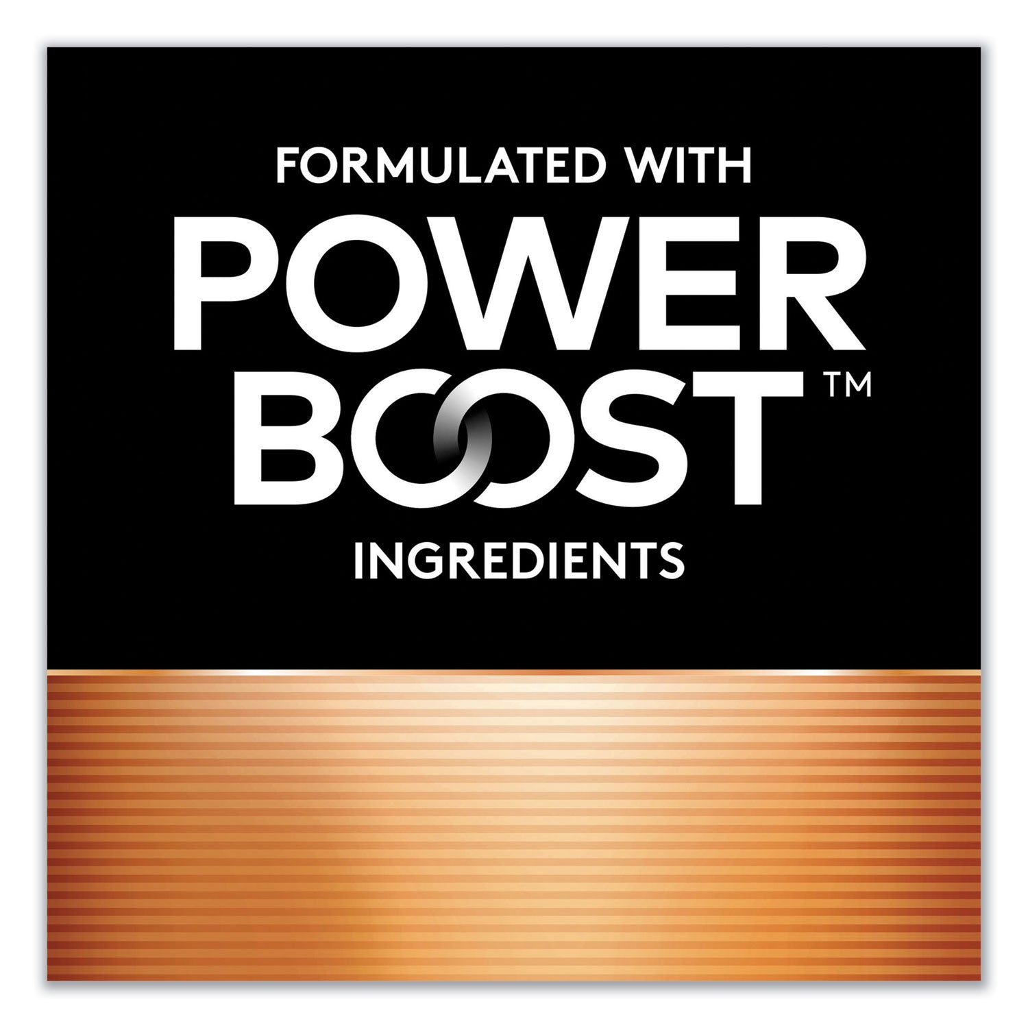 Power Boost CopperTop Alkaline AA Batteries, 224/Carton - 2