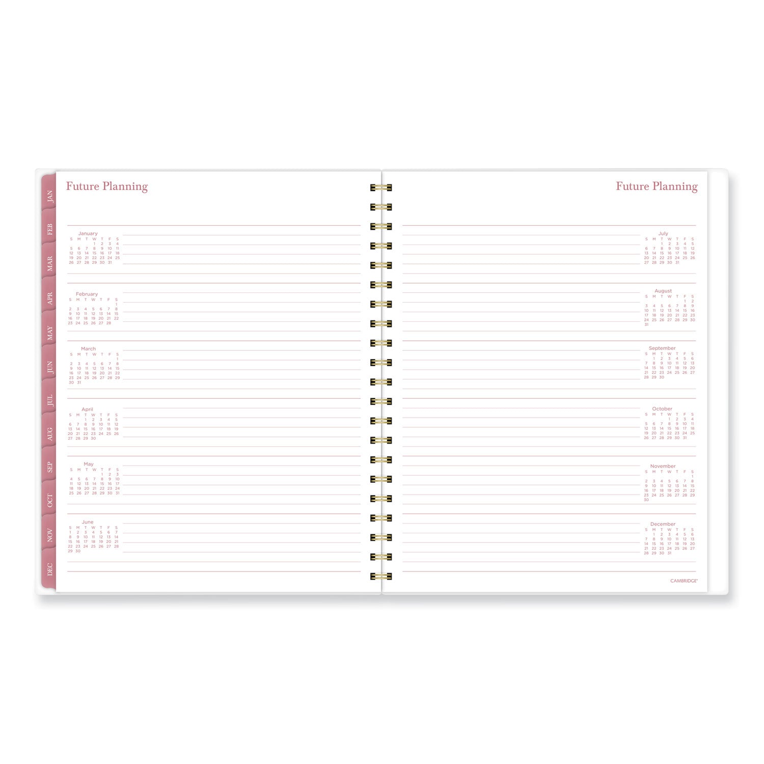 Cambridge Thicket Weekly/Monthly Planner - Large Size - Weekly, Monthly - 12 Month - January 2024 - December 2024 - 8 1/2" x 11" Sheet Size - Wire Bound - Multi - To-do List, Durable, Flexible, Snag Resistant, Double-sided Pocket, Dated Planning Page - 2