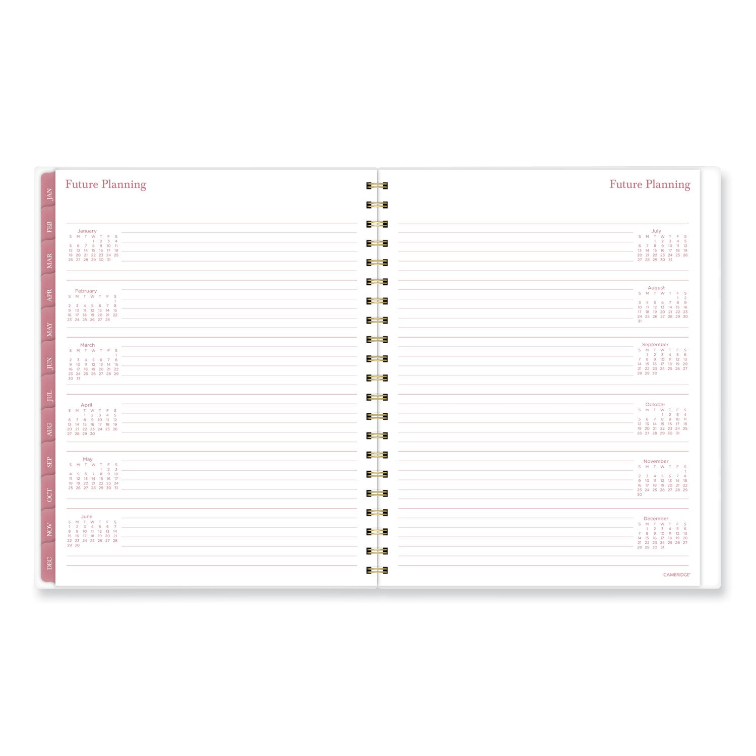 Cambridge Thicket Weekly/Monthly Planner - Large Size - Weekly, Monthly - 12 Month - January 2024 - December 2024 - 8 1/2" x 11" Sheet Size - Wire Bound - Multi - To-do List, Durable, Flexible, Snag Resistant, Double-sided Pocket, Dated Planning Page - 2