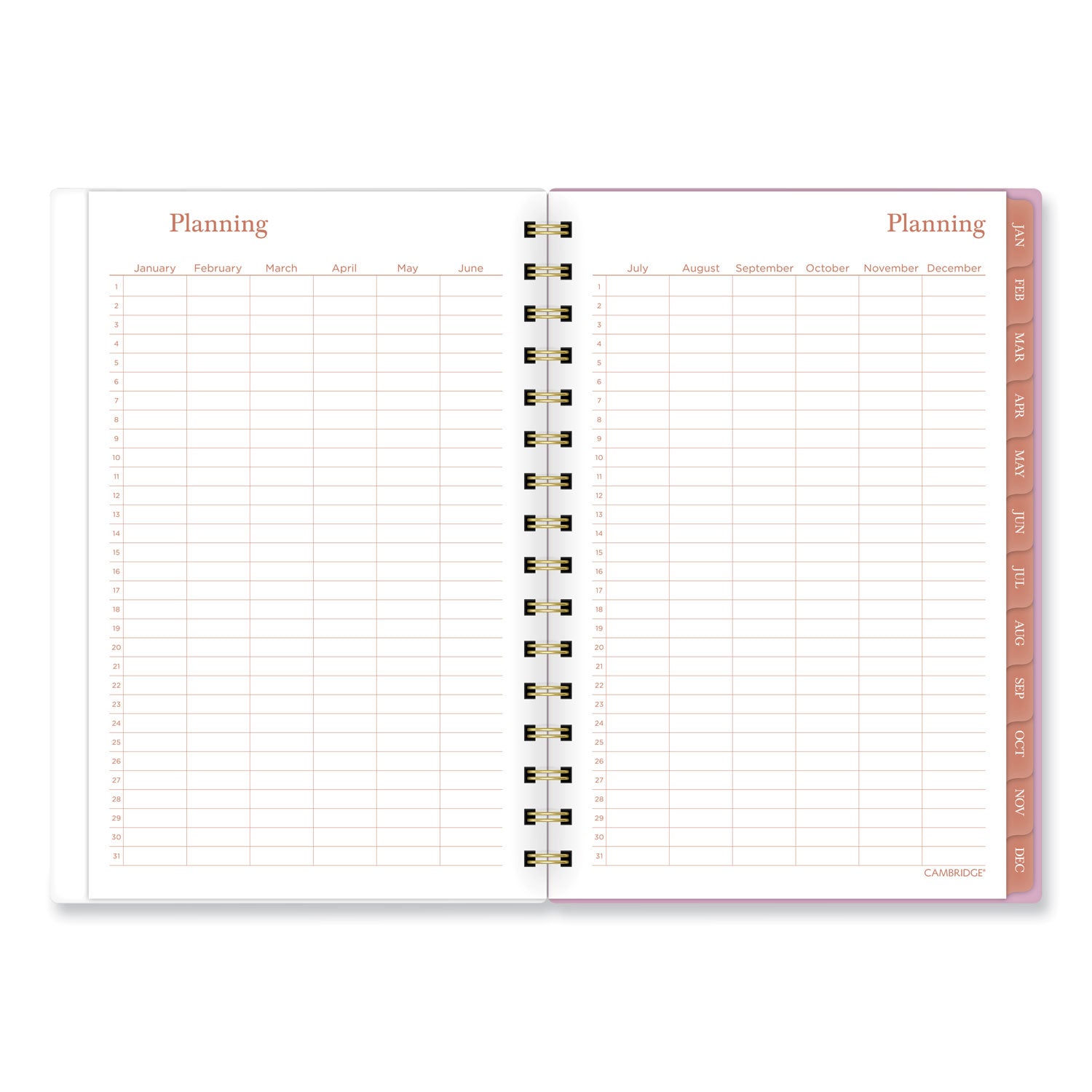 cher-weekly-monthly-planner-plaid-artwork-85-x-638-pink-blue-orange-cover-12-month-jan-to-dec-2024_aag1676200 - 3