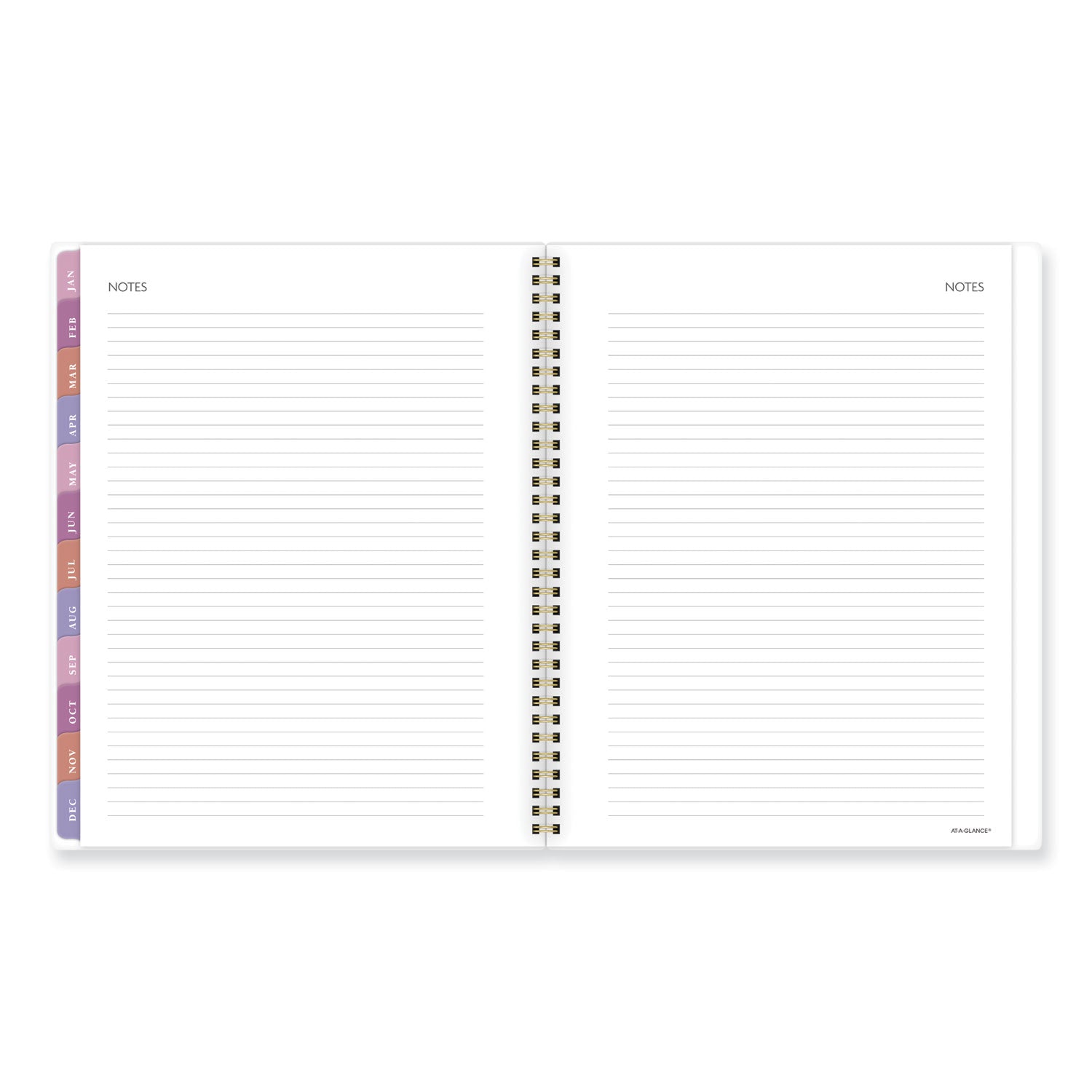 badge-floral-weekly-monthly-planner-floral-artwork-11-x-92-white-multicolor-cover-13-month-jan-to-jan-2024-to-2025_aag1675f905 - 4
