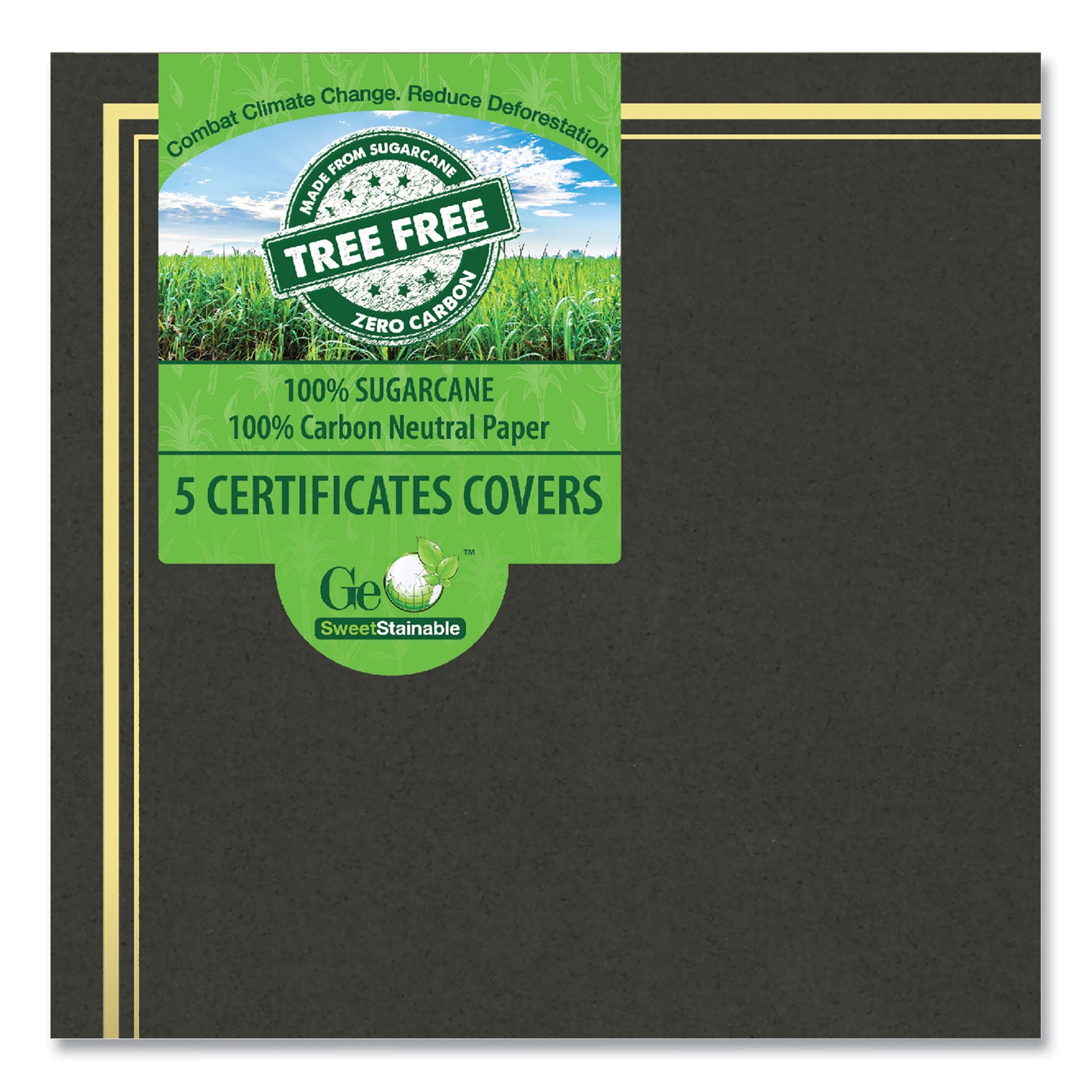 certificate-document-cover-975-x-125-black-with-gold-foil-5-pack_geo49029 - 2