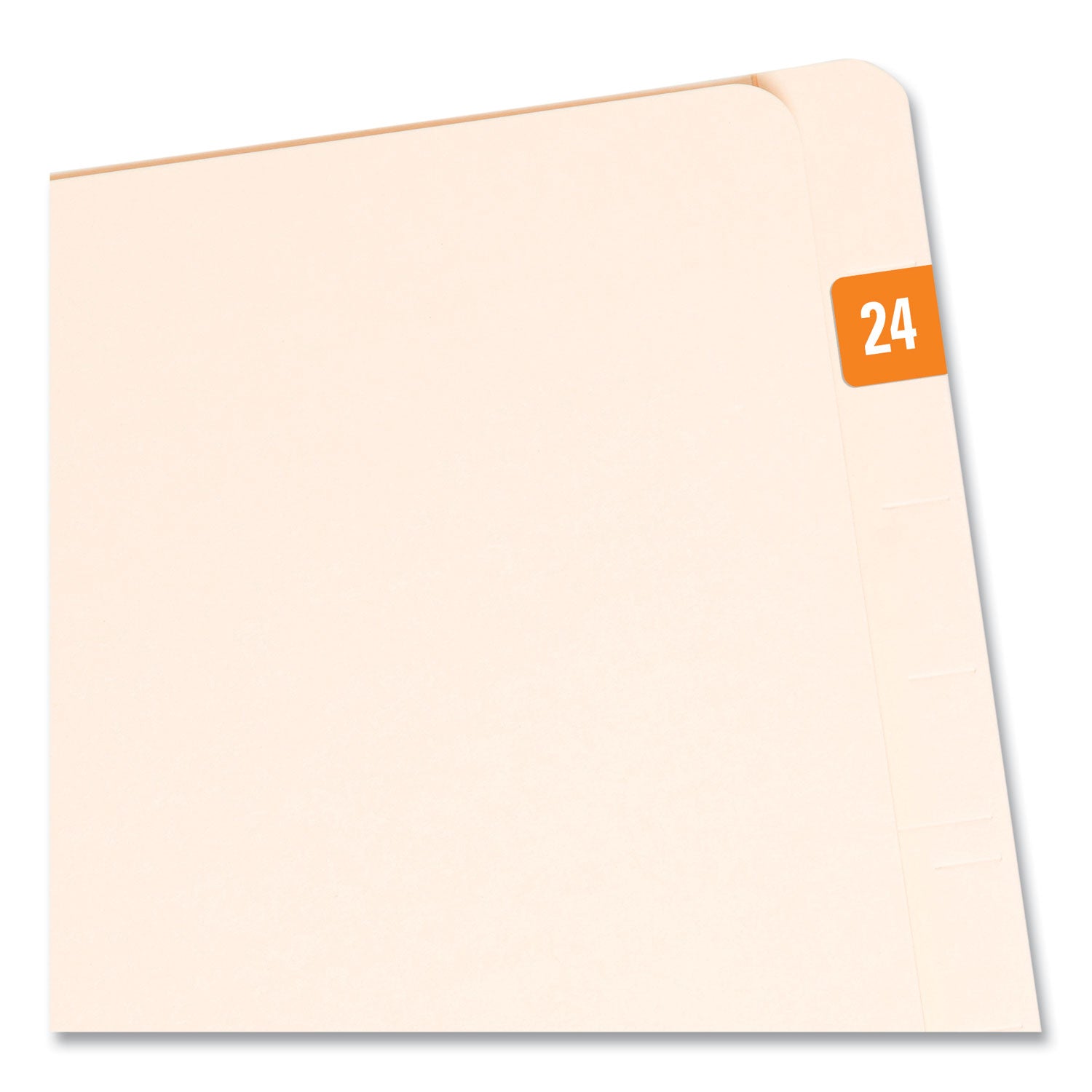 yearly-end-tab-file-folder-labels-24-05-x-1-orange-25-sheet-10-sheets-pack_smd67924 - 2