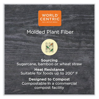 fiber-containers-bento-box-5-compartment-12-x-95-x-2-natural-paper-300-carton_wortrscbblfs - 2