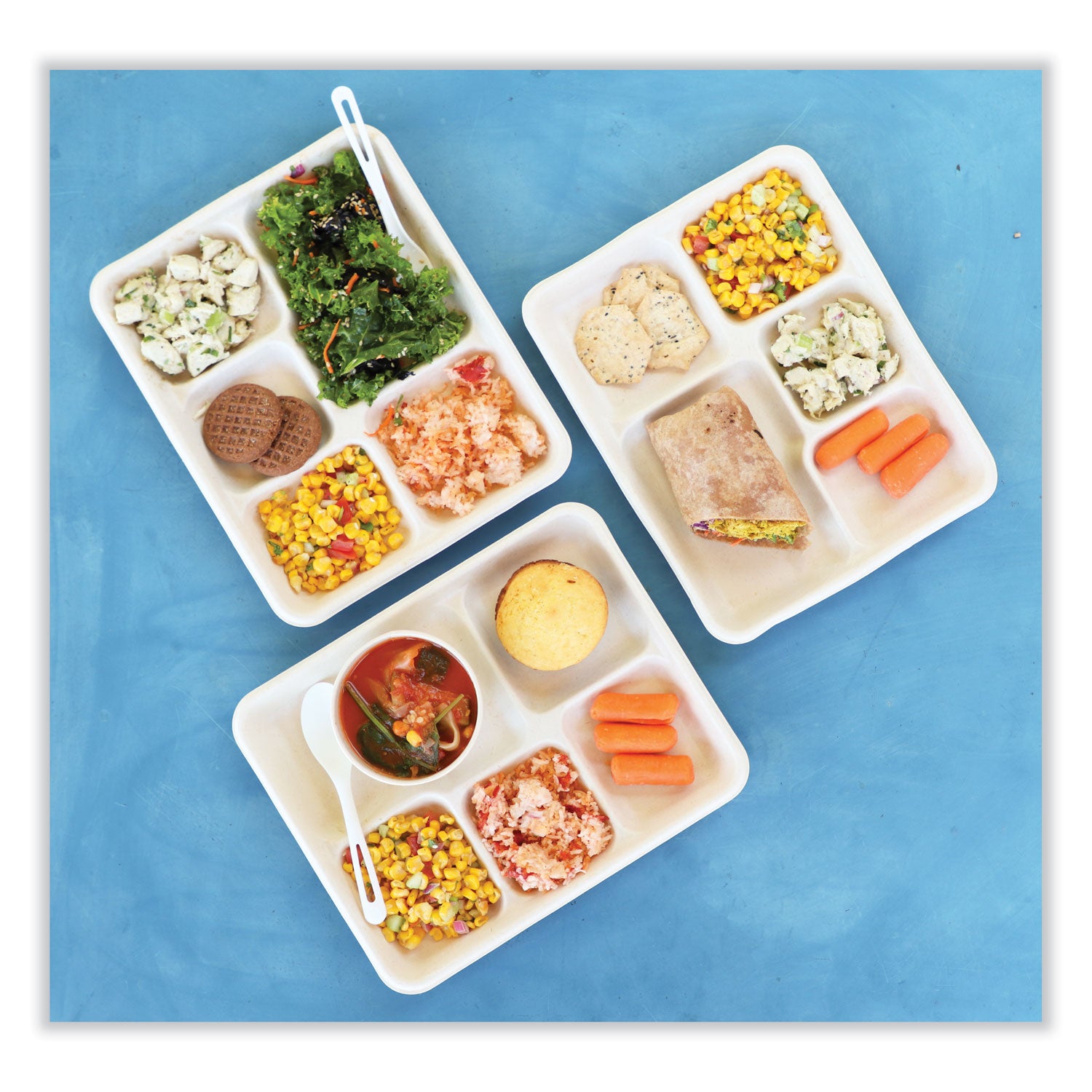fiber-trays-5-compartment-85-x-1024-x-101-natural-paper-400-carton_wortrsc5clfs - 3