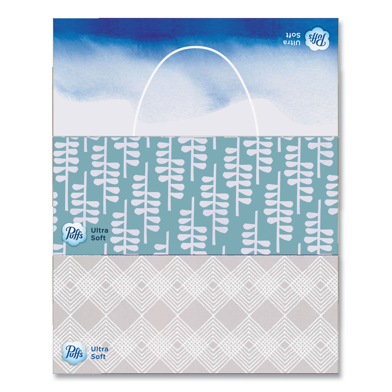 Ultra Soft Facial Tissue, 2-Ply, White, 124 Sheets/Box, 6 Boxes/Pack, 4 Packs/Carton