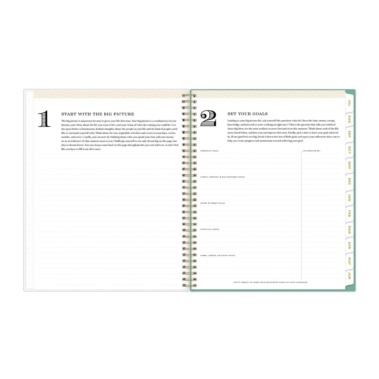 Day Designer Academic Year Weekly/Monthly Frosted Planner, Palms Artwork, 11 x 8.5, 12-Month (July to June): 2023 to 2024