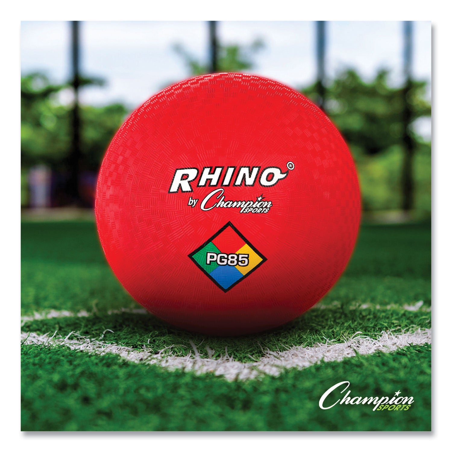 Physical Education Kit with 7 Balls, 14 Jump Ropes, Assorted Colors - 