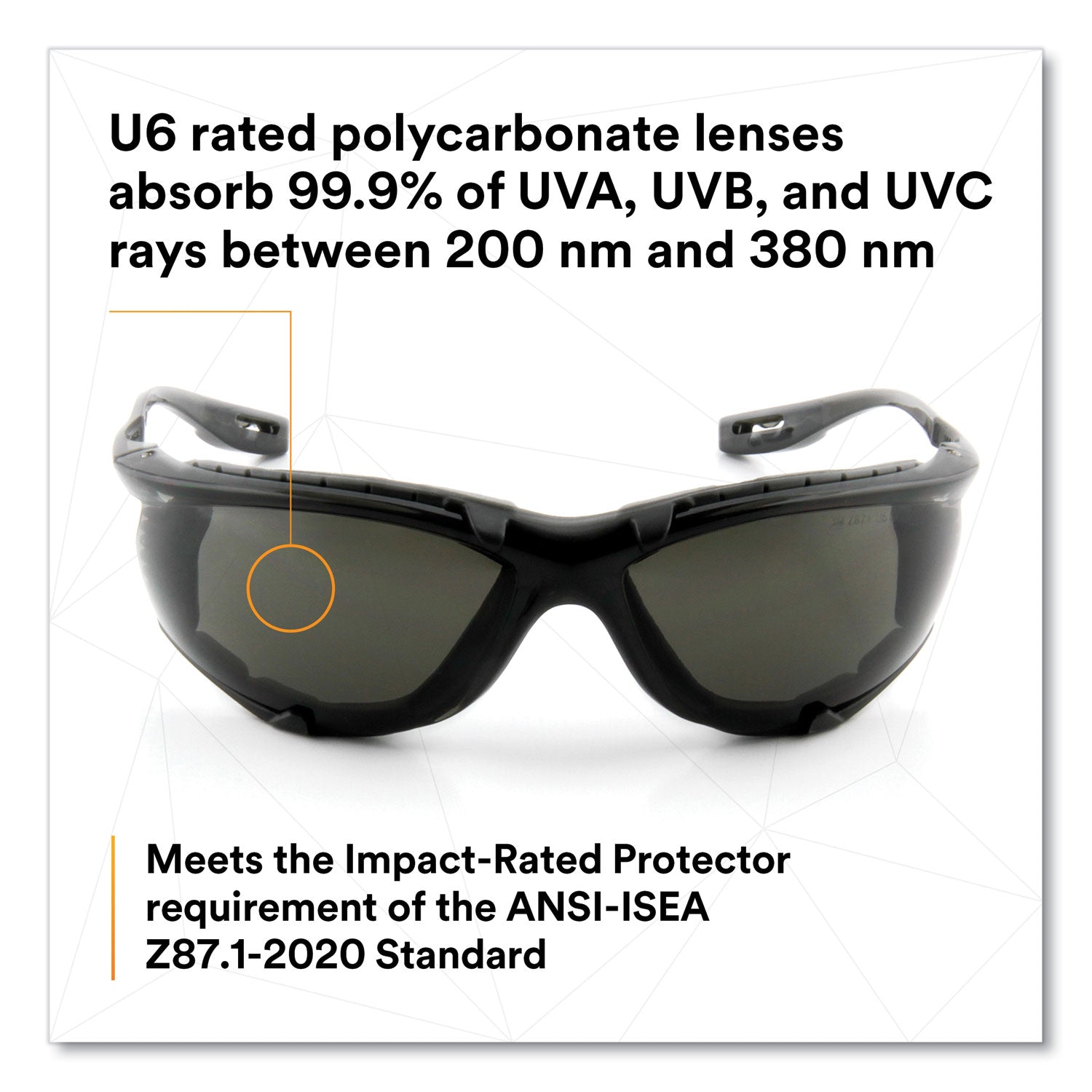 Virtua CCS Protective Eyewear with Foam Gasket, Black/Gray Plastic Frame, Gray Polycarbonate Lens