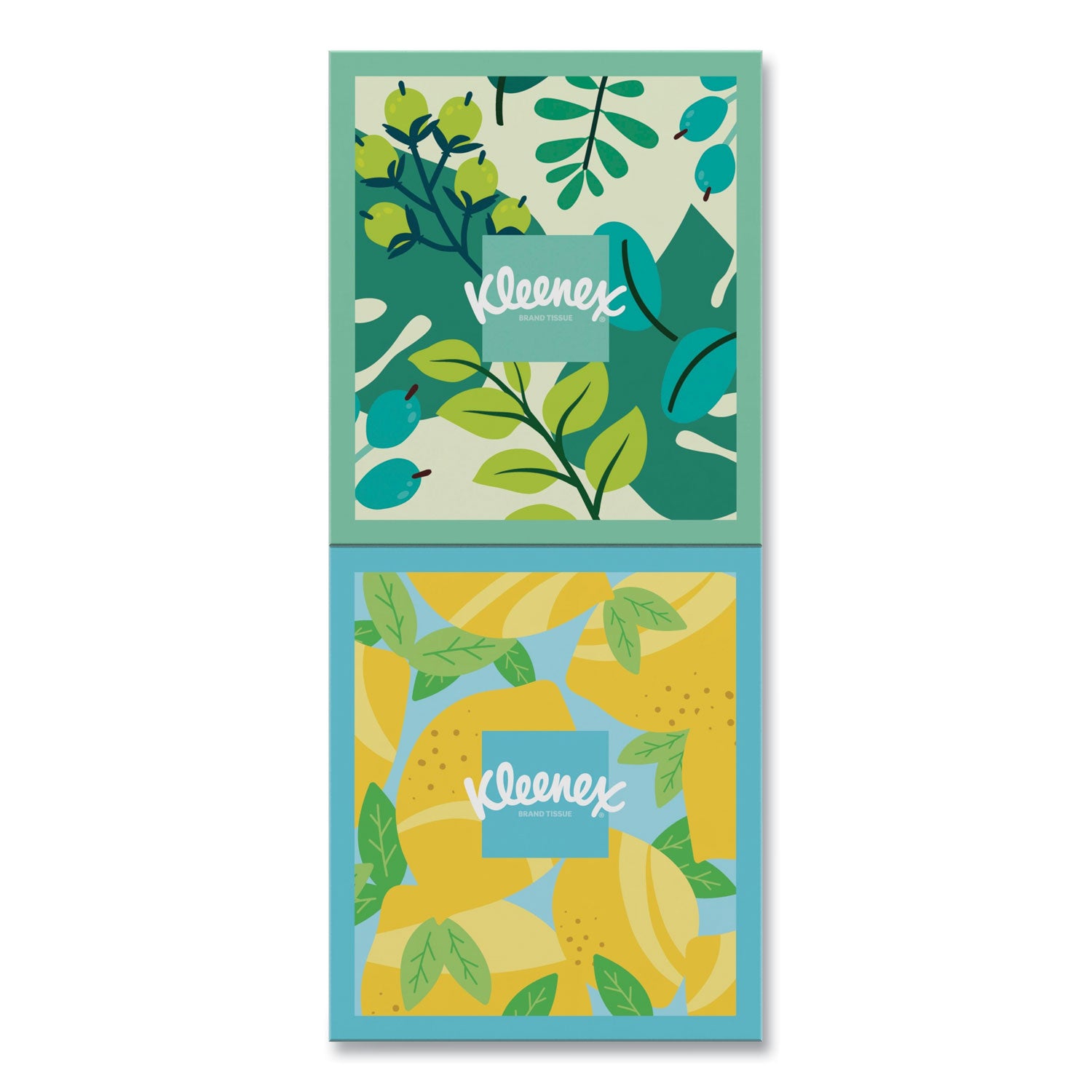 lotion-facial-tissue-3-ply-white-60-sheets-box-4-boxes-pack-8-packs-carton_kcc54289 - 3