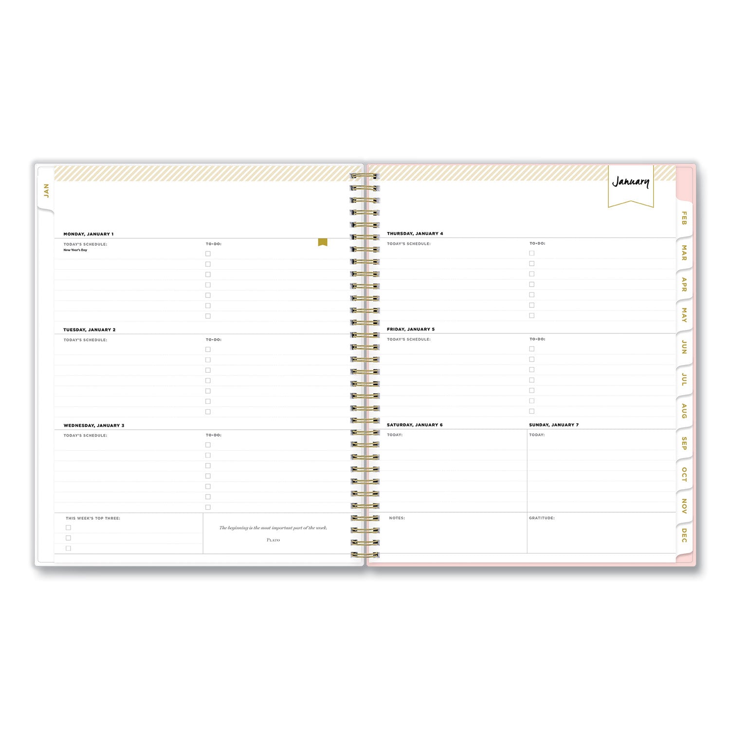 day-designer-coming-up-roses-create-your-own-cover-weekly-monthly-planner-11-x-85-blush-cream-cover12-monthjan-dec2024_bls140092 - 3