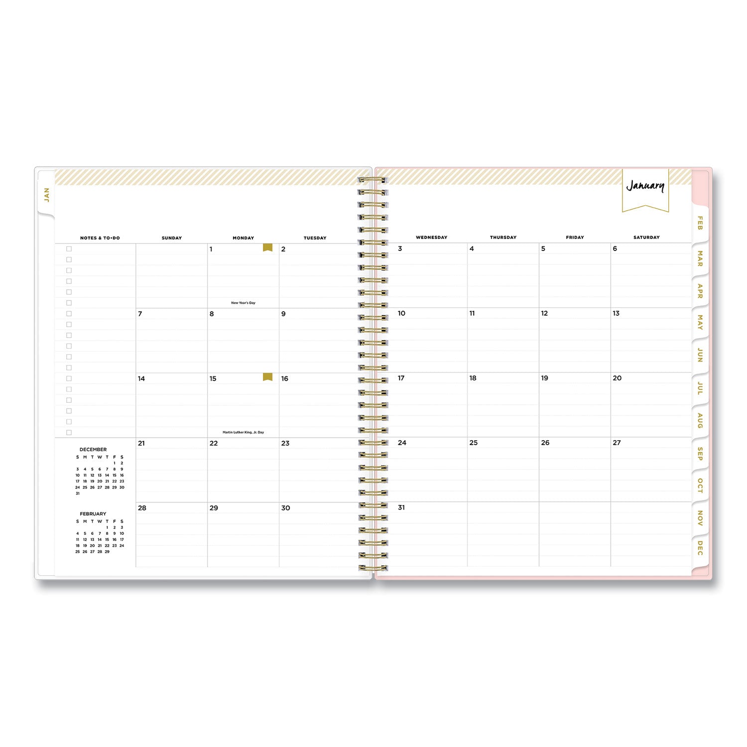 Day Designer Coming Up Roses Create-Your-Own Cover Weekly/Monthly Planner, 11 x 8.5, Blush/Cream Cover,12-Month(Jan-Dec):2024
