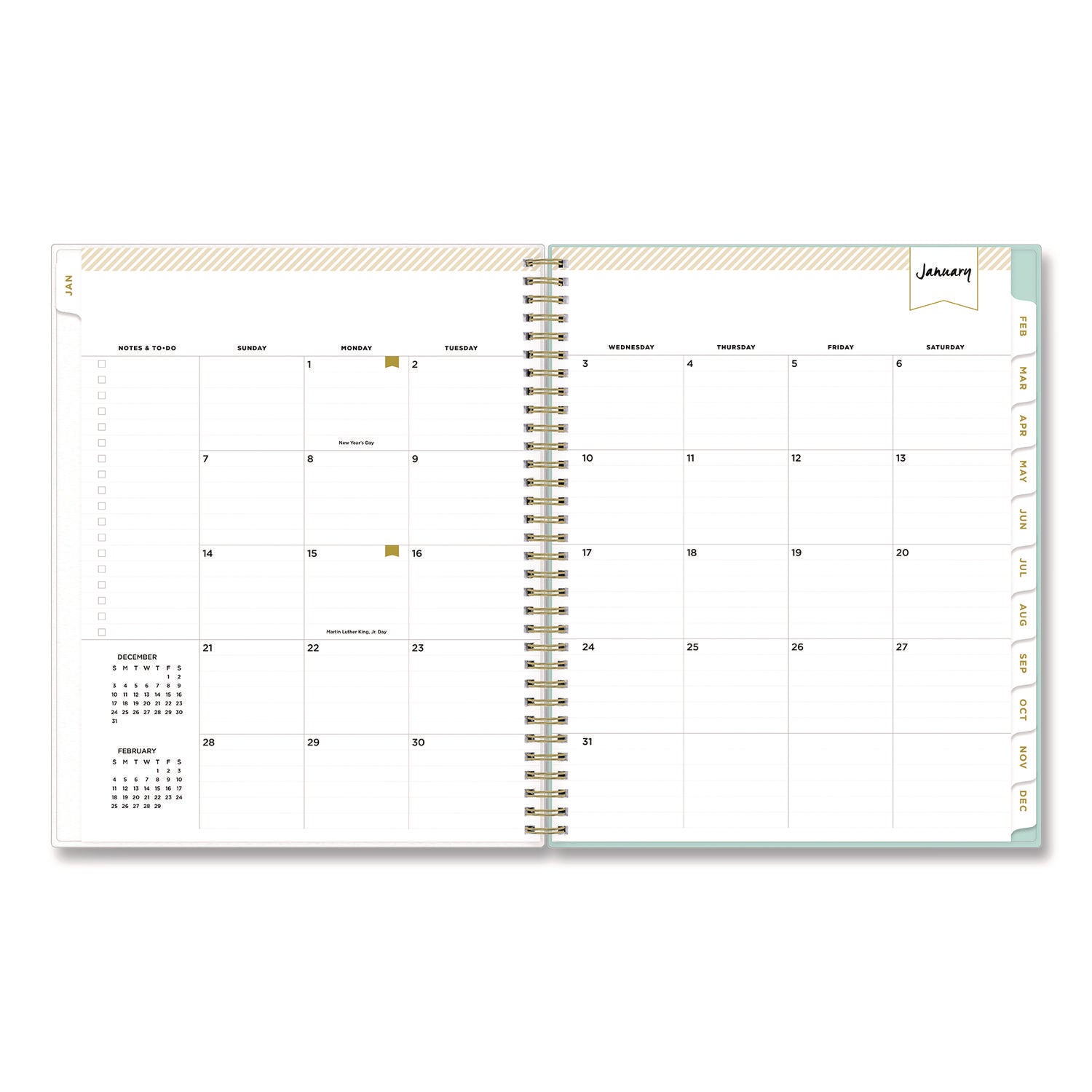 Day Designer Secret Garden Mint Frosted Weekly/Monthly Planner, 11 x 8.5, Multicolor Cover, 12-Month (Jan to Dec): 2024