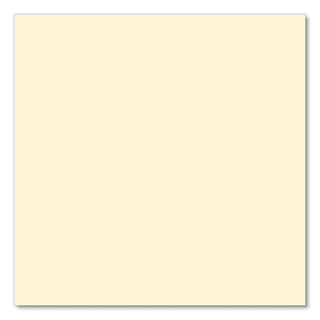 Enviroshades Legal Notepads, 50 Ivory 8.5 x 11.75 Sheets, 72 Notepads/Carton, Ships in 4-6 Business Days